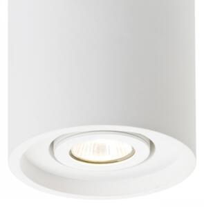 RED - Design Rendl - R10454 - Bodové svítidlo COLES 1xGU10/50W/230V
