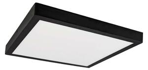 LED Stropní svítidlo FENIX LED/24W/230V 3800K 29,8 cm