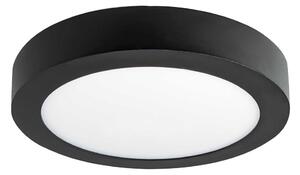 LED Stropní svítidlo FENIX LED/12W/230V 3800K pr. 17 cm