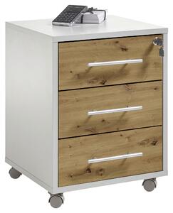 POJÍZDNÝ KONTEJNER, 43/56/42 cm Carryhome, Online Only