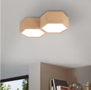 Eglo 98861 - Stropní svítidlo MIRLAS 2xE27/9W/230V
