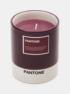 Sinsay - Svíčka Pantone - světle fialová