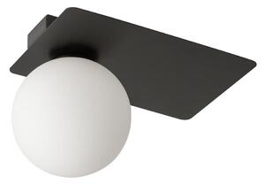 Stropní svítidlo ARGON 1xG9/12W/230V černá