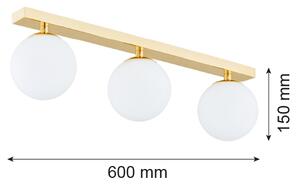 Argon 1414 - Koupelnový přisazený lustr FLAVIO 3xE14/7W/230V IP44