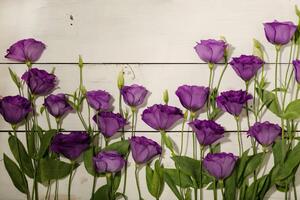 Fototapeta nádherné fialové květiny