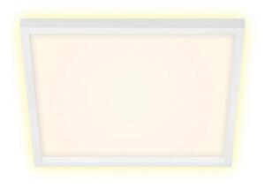 Briloner 7364-016 - LED Stropní svítidlo CADRE LED/22W/230V 42,2x42,2 cm bílá