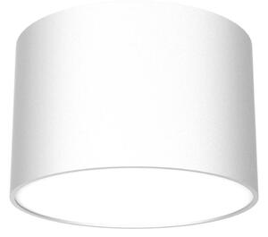 Bodové svítidlo DIXIE 1xGX53/11W/230V bílá