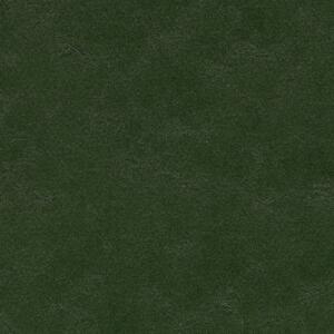 FORBO Marmoleum solid walton Bottle green 3359 - 2 bm