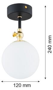 Argon 4003 - Koupelnový přisazený lustr LATINA 1xE14/7W/230V IP44 černá/mosaz