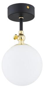 Argon 4003 - Koupelnový přisazený lustr LATINA 1xE14/7W/230V IP44 černá/mosaz