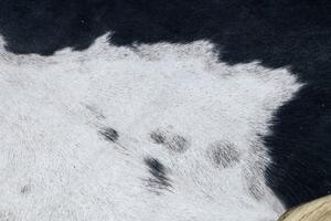 Makro Abra Koberec imitace zvířecí kůže G5070-3 černý / bílý Rozměr: 100x150 cm