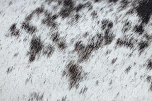 Makro Abra Koberec imitace zvířecí kůže G5074-1 bílý / hnědý Rozměr: 100x150 cm
