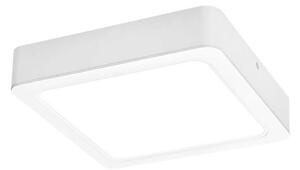 Rabalux 3176 - LED Stropní svítidlo SHAUN LED/24W/230V 22 cm