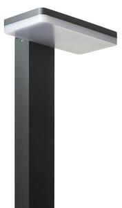 RED - Design Rendl - R12515 - LED Venkovní lampa RINA LED/12W/230V IP44