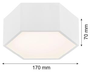 Argon 3828 - LED Stropní svítidlo ARIZONA LED/9W/230V bílá