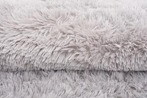 Makro Abra Moderní kusový koberec SILK světle šedý Rozměr: 120x170 cm
