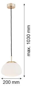 Argon 4352 - Lustr na lanku TRINI 1xE27/15W/230V pr. 20 cm zlatá