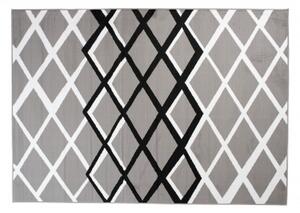 Makro Abra Moderní kusový koberec CHEAP T237B šedý Rozměr: 160x230 cm