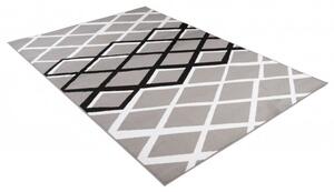 Makro Abra Moderní kusový koberec CHEAP T237B šedý Rozměr: 220x300 cm