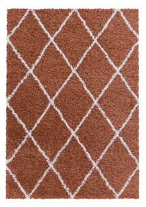 Kusový koberec Alvor Shaggy 3401 terra - 160 x 230 cm
