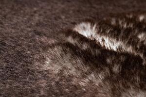 Makro Abra Kusový koberec Shaggy LAPIN slonová kost / čokoláda / hnědý Rozměr: 80x150 cm