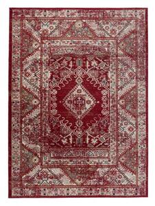 Makro Abra Kusový koberec klasický DUBAI L429A červený Rozměr: 250x350 cm