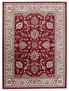 Makro Abra Kusový koberec klasický DUBAI L748A červený Rozměr: 250x350 cm