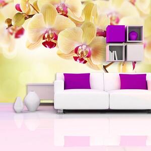 Sablio Tapeta Orchidej 2 - 125x75 cm