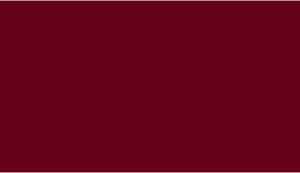 Saxum napínací prostěradlo froté 90x200 Barva: burgundská červená