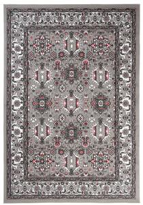 Makro Abra Klasický kusový koberec EUFRAT Z835C šedý Rozměr: 80x150 cm