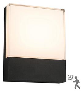 Top Light - LED Venkovní nástěnné svítidlo se senzorem NOEL LED/10W/230V IP54