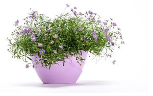 Pastelově fialový samozavlažovací květináč Plastia Doppio