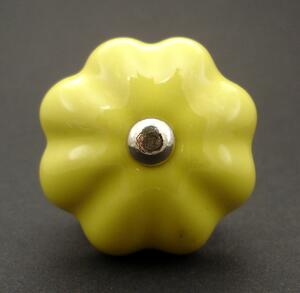 Keramická úchytka-Žlutý květ Barva kovu: stříbrná