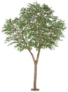 Umělý strom Ficus Longifolia s přírodními kmeny, 260cm