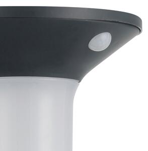 Eglo 900243 - LED Venkovní solární svítidlo se senzorem 6xLED/0,03W/3,7V IP44