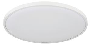 STROPNÍ LED SVÍTIDLO, 40/4 cm Globo - Online Only svítidla, Online Only