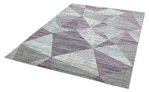 Timzo Moderní kusový koberec Orion OR13 šedý / fialový Rozměr: 160x230 cm