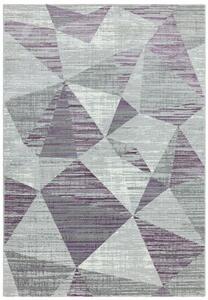 Timzo Moderní kusový koberec Orion OR13 šedý / fialový Rozměr: 120x170 cm