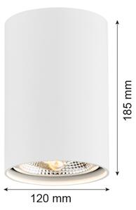 Argon 4910 - Bodové svítidlo TUBO AR111 1xGU10/15W/230V bílá