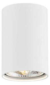 Argon 4910 - Bodové svítidlo TUBO AR111 1xGU10/15W/230V bílá