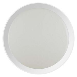 LED Stmívatelné stropní svítidlo LED/40W/230V 3000K/4000K/6500K + DO