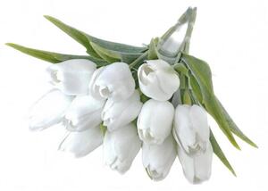 Umělé tulipány s listem 6 ks - bílá