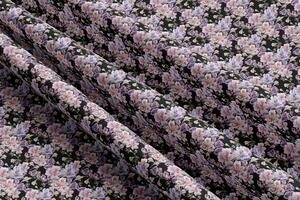 Kočárkovina metráž šíře 160 cm, nepromokavá látka, vzor fialovorůžový květ na černé