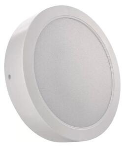 LED Stropní svítidlo LED/24W/230V pr. 22 cm bílá