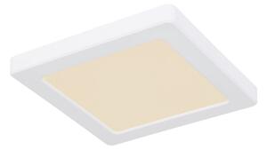 Globo 12380-12W - LED Stropní svítidlo LASSE LED/12W/230V 3000/4000/6500K bílá