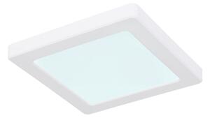 Globo 12380-12W - LED Stropní svítidlo LASSE LED/12W/230V 3000/4000/6500K bílá