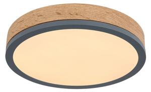 Globo 416080WD1R - LED Stropní svítidlo DORO LED/12W/230V pr. 30 cm