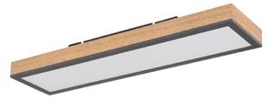 Globo 416080WD - LED Stropní svítidlo DORO LED/18W/230V