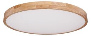 Globo 41745-60 - LED Stmívatelné stropní svítidlo RAINER LED/60W/230V + DO