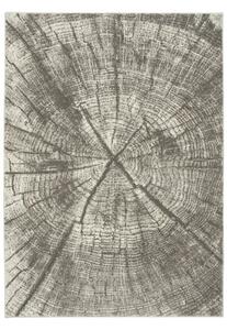Makro Abra Moderní kusový koberec Versage 2642A Pařez stromu šedý Rozměr: 120x170 cm